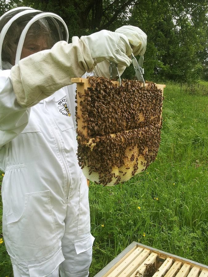 Bed and Breakfast 13 Bees à Confolens Extérieur photo